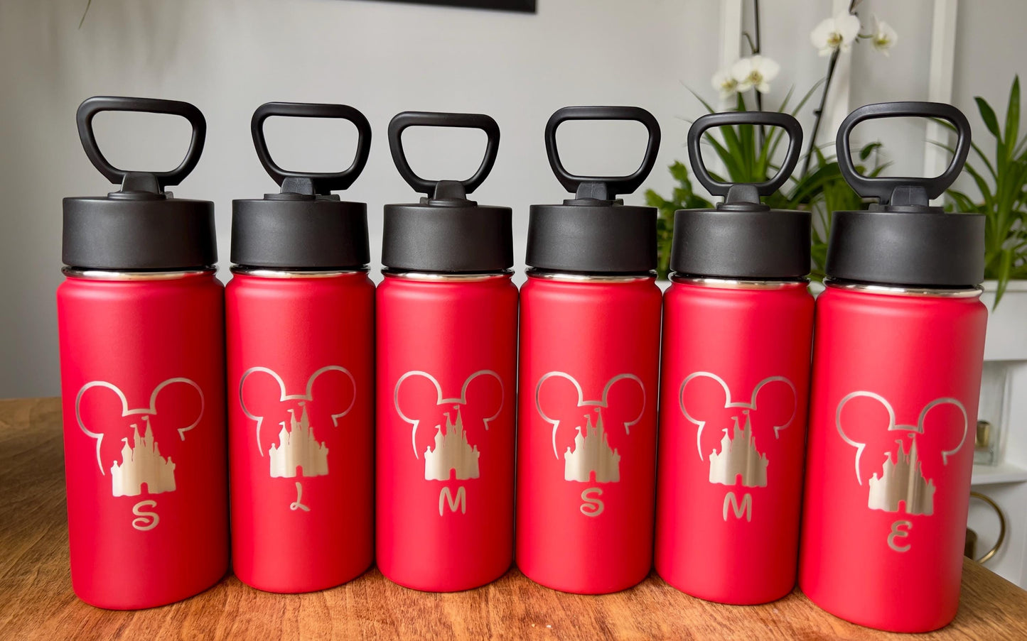 Personalized water bottle engraved with name Disneyprincess/characters, Unicorn Tumbler, Engraved stainless Travel mug cruise Trip gift