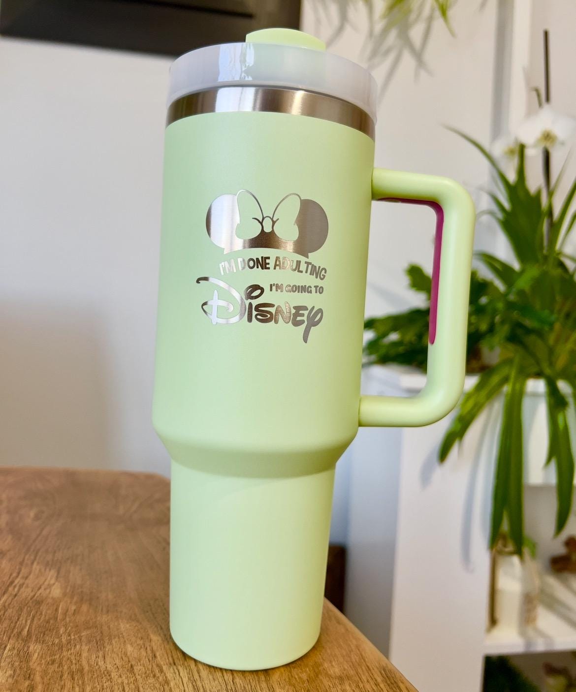 Personalized tumbler 40 oz engraved Stainless travel cup, cruiseDisney tumbler Princess characters, Castle gift