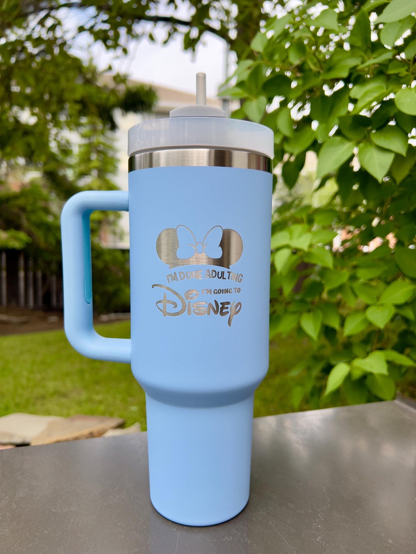 Personalized tumbler 40 oz engraved Stainless travel cup, cruiseDisney tumbler Princess characters, Castle gift